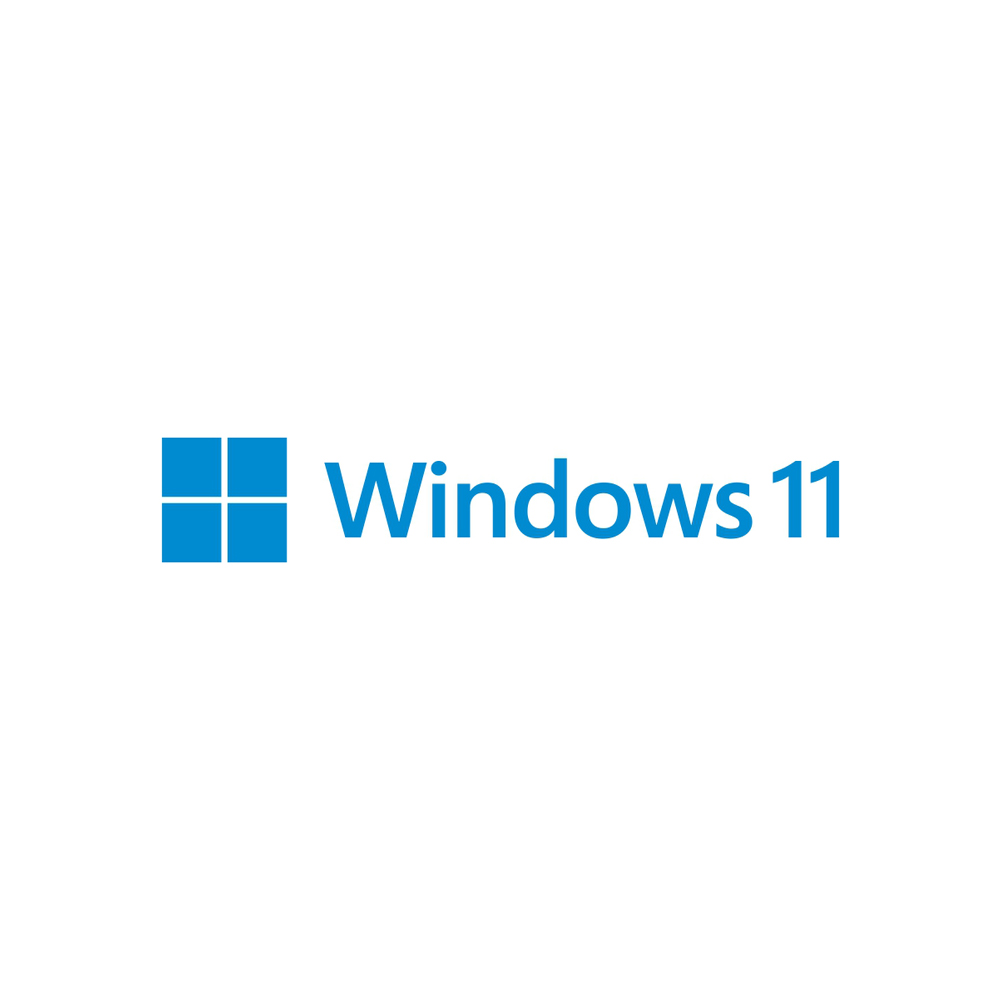 MICROSOFT WIN PRO 11 64BIT ALL LNG ONLINE PR KEY-ESD